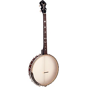 Gold Tone IT-19 Irish Tenor Banjo