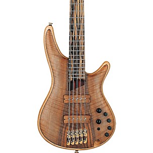 Ibanez IV1SR 5-String Electric Bass Guitar