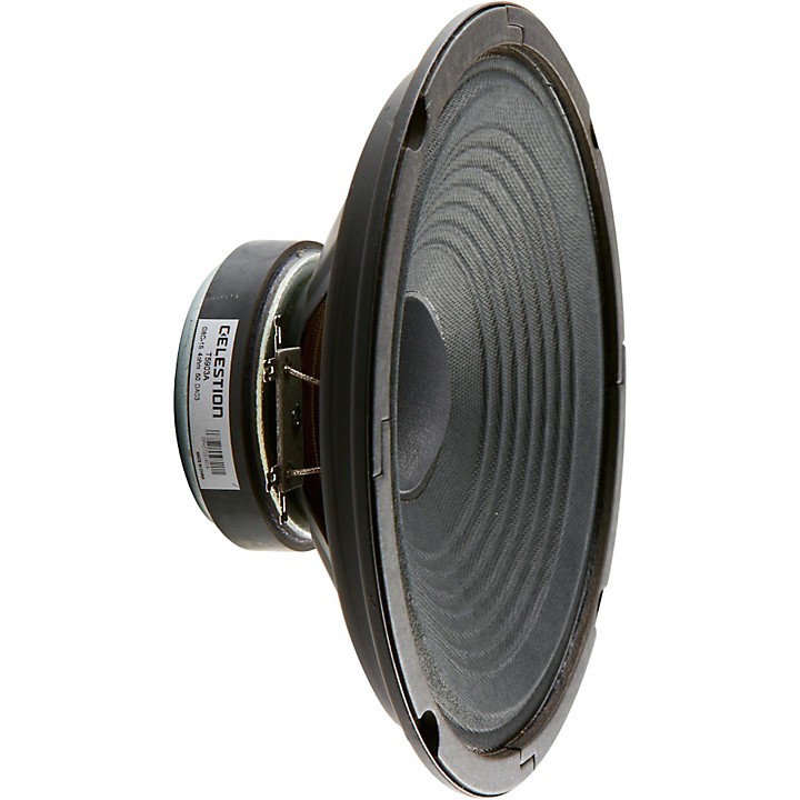 Celestion eight fashion