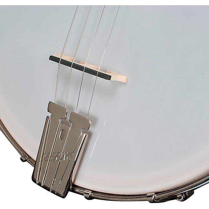 Banjo, Stringed, Fretted, Plucked