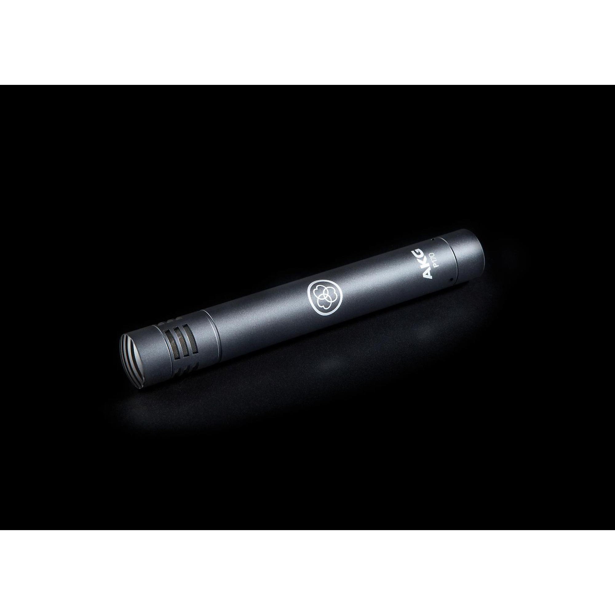 AKG P170 Project Studio Condenser Microphone | Music & Arts
