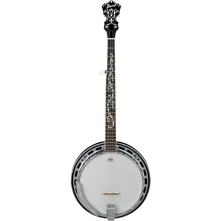 Resonator banjo store