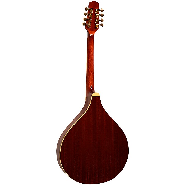 Gold Tone OM-800+ Octave Mandolin