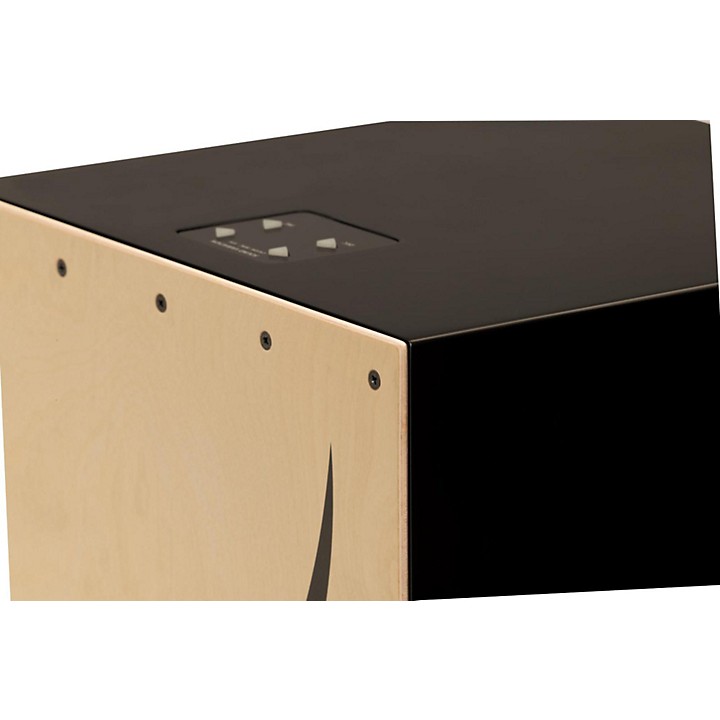 Roland ELCajon EC-10 Electronic Layered Cajon | Music & Arts