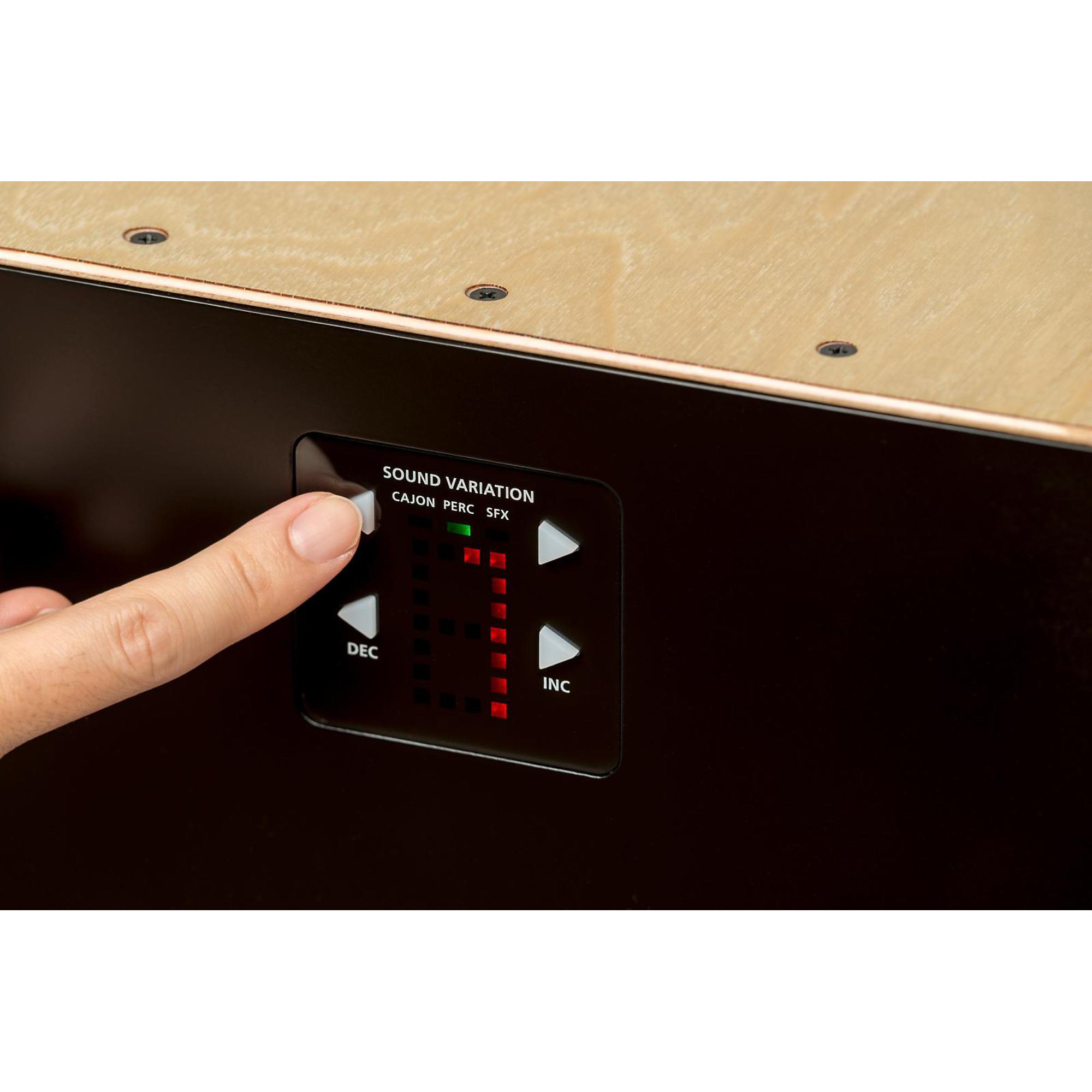Roland ELCajon EC-10 Electronic Layered Cajon | Music & Arts