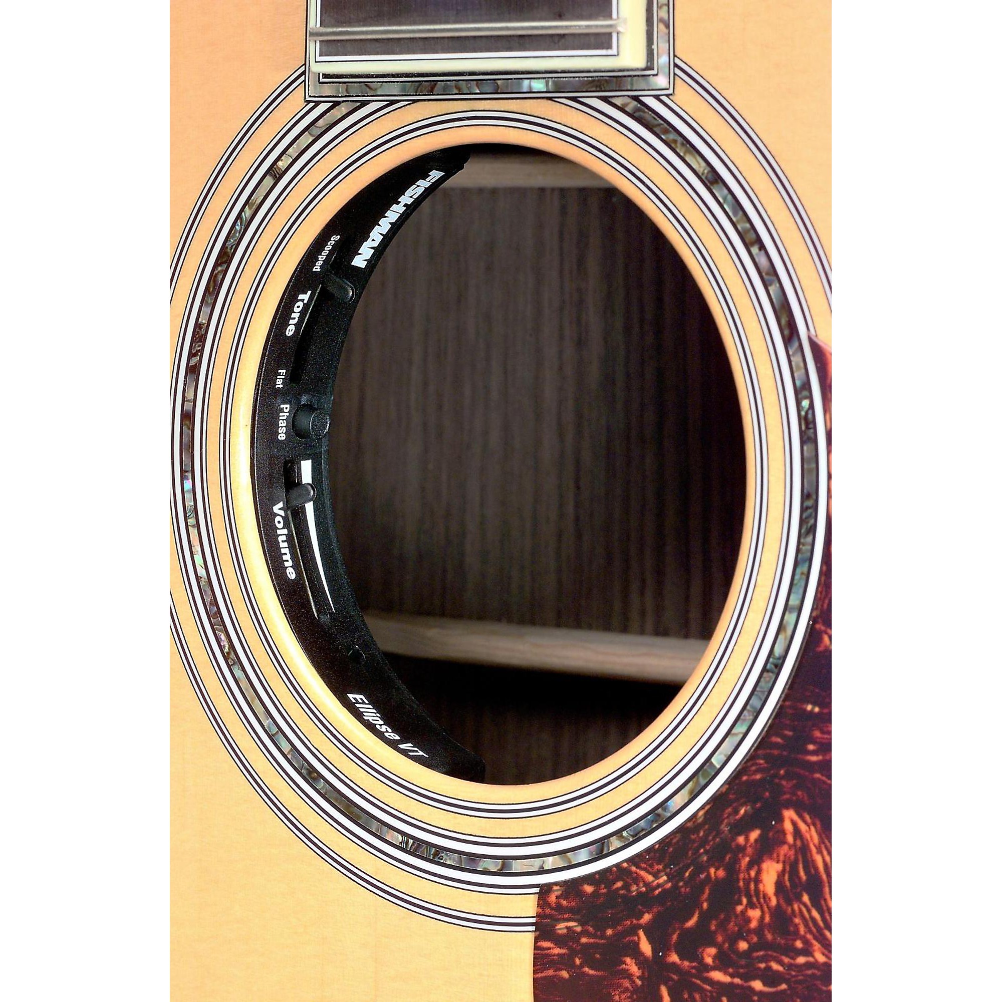 FISHMAN Ellipse Matrix Blendピックアップシステム Amazon.com: Fishman Ellipse Matrix Blend - Narrow
