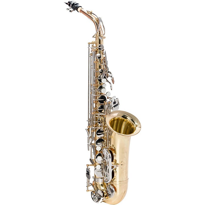 Saxophone Beginners Guide  How to Play the Saxophone: ipassio
