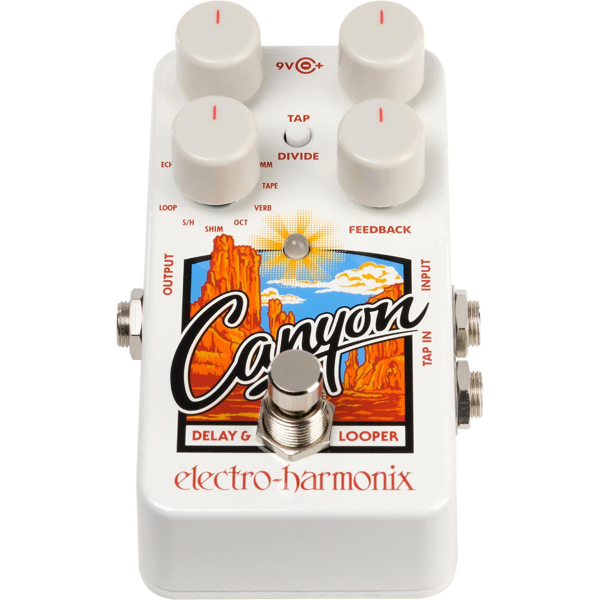 Electro-Harmonix Canyon Delay and Looper Pedal | Music & Arts