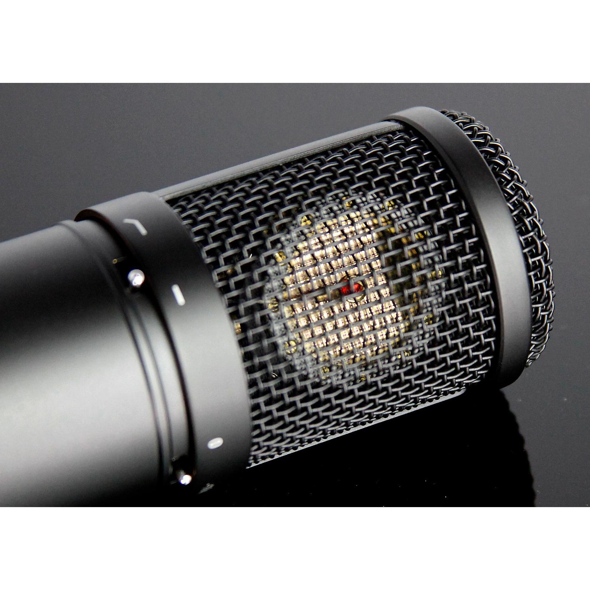 TASCAM TM-280 Large-Diaphragm Condenser Microphone | Music & Arts