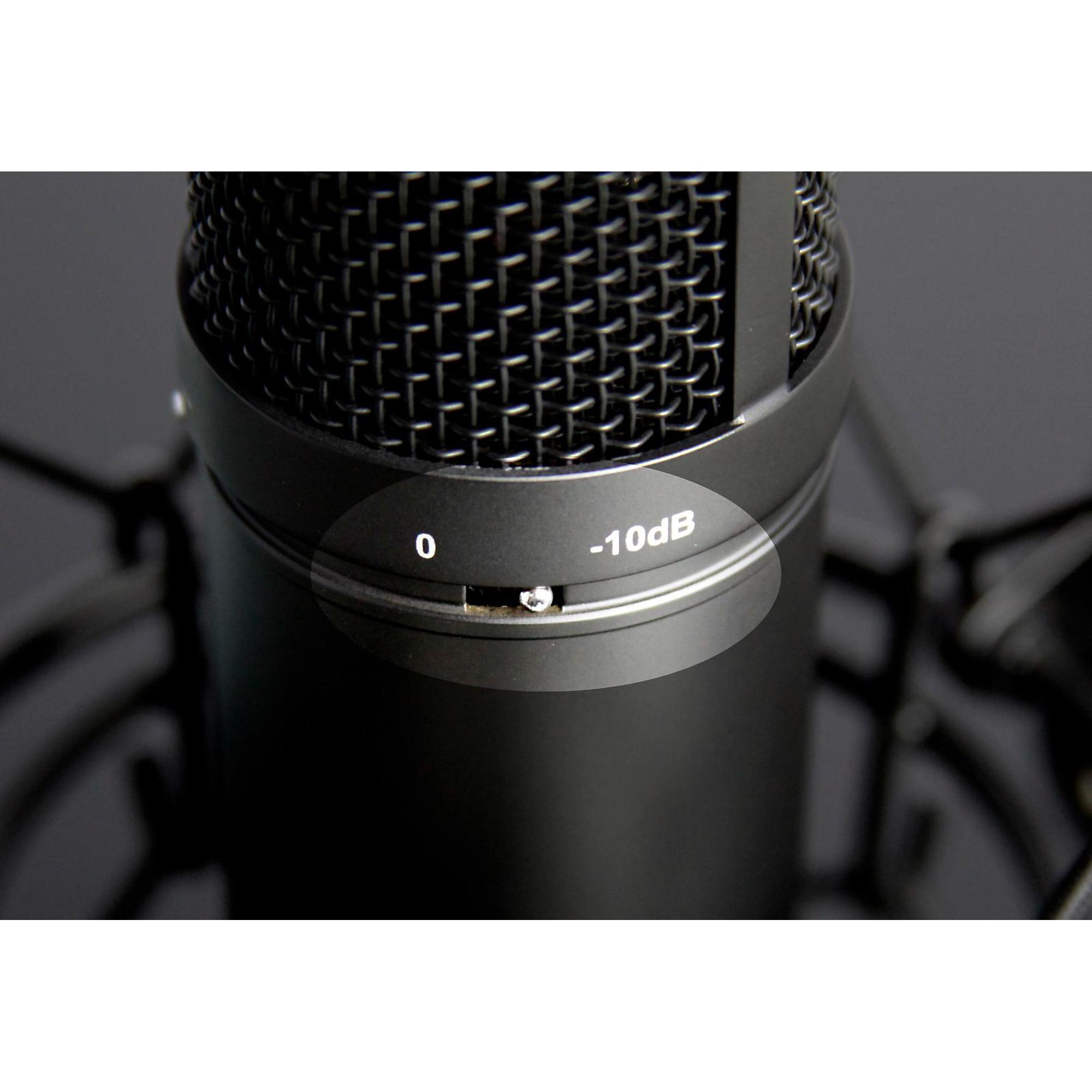 TASCAM TM-280 Large-Diaphragm Condenser Microphone | Music & Arts