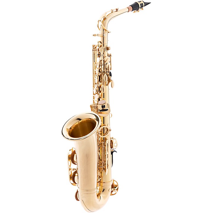 How to Buy the Best Saxophone for a Beginner – Saxophone Price