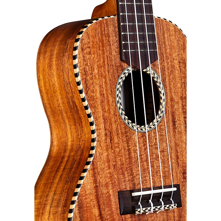 Cordoba 25C Concert Ukulele | Music & Arts