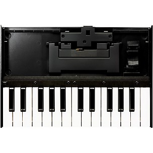 Roland K-25m Boutique Keyboard Unit