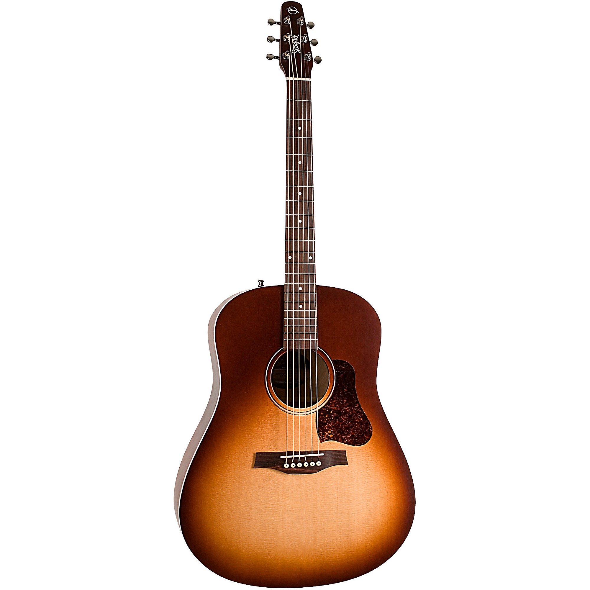 Seagull Entourage Autumn Burst Acoustic Guitar | Music & Arts