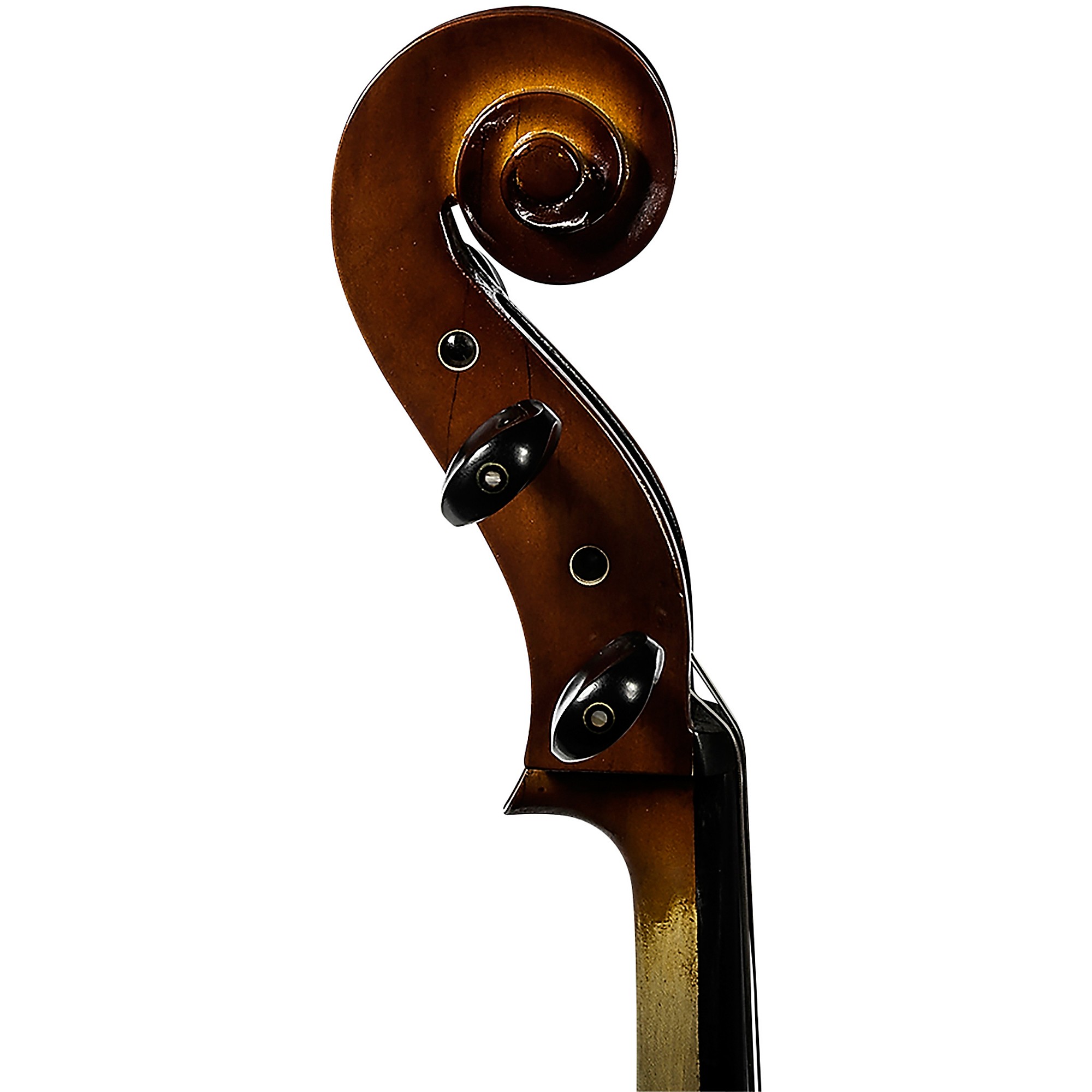 cello様　専用 Eastman 305 Cello | Blackerby Violin Shop