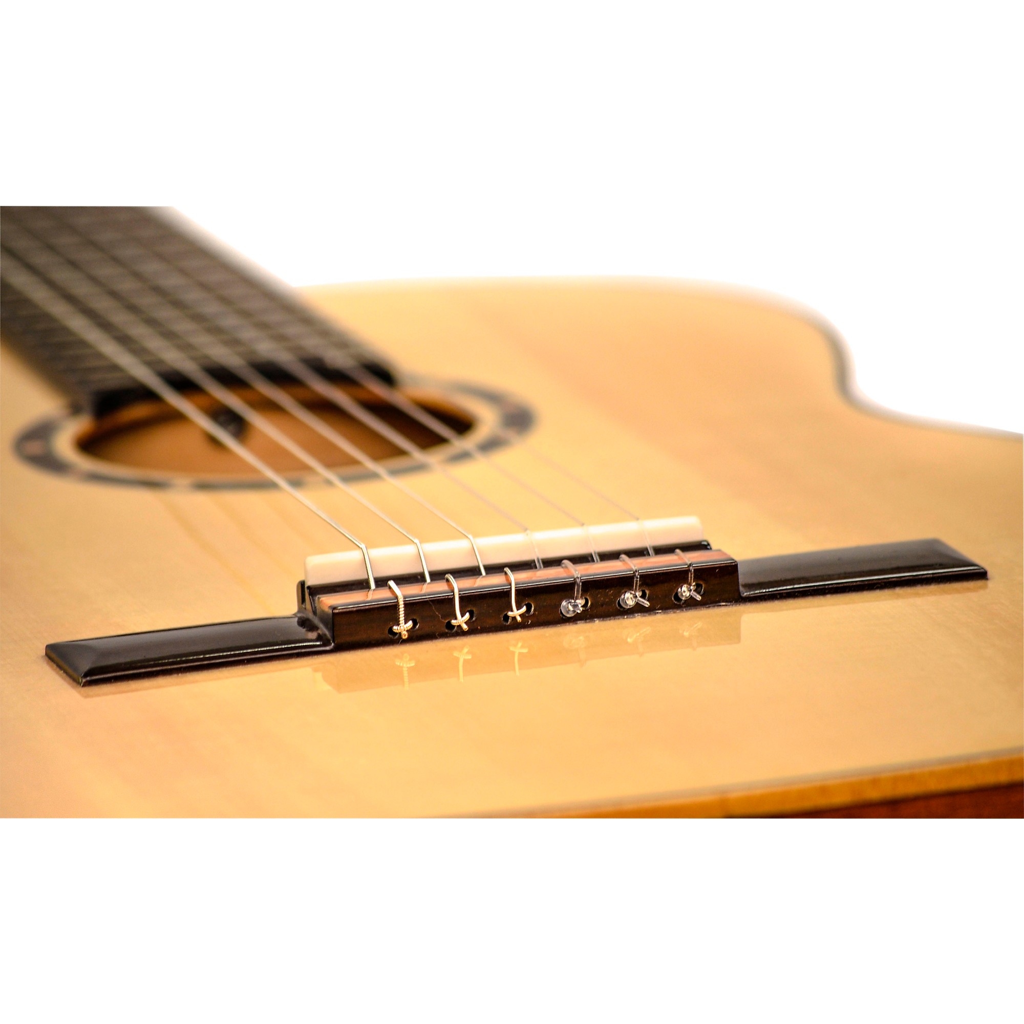 Ortega Family R122SN Classical Guitar | Music & Arts