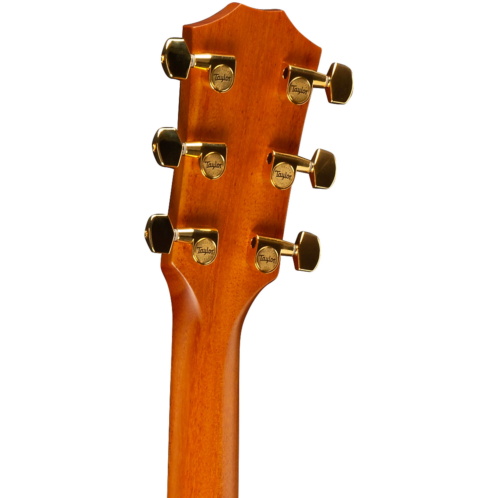 Taylor 414ce V-Class 2018 テイラー　オバンコール Taylor 414ce V-Class Special-Edition Grand Auditorium