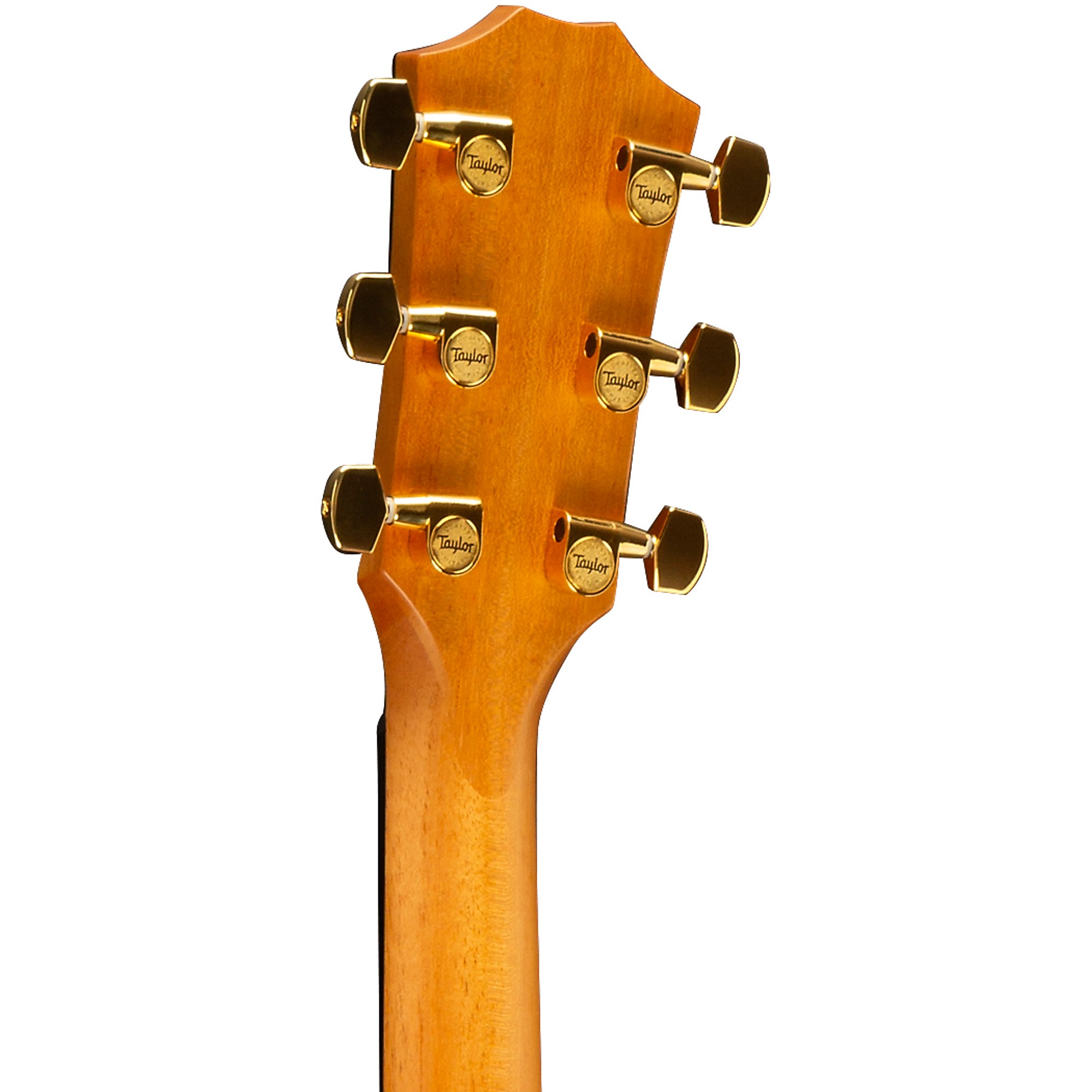 Taylor 414ce V-Class Special-Edition Grand Auditorium