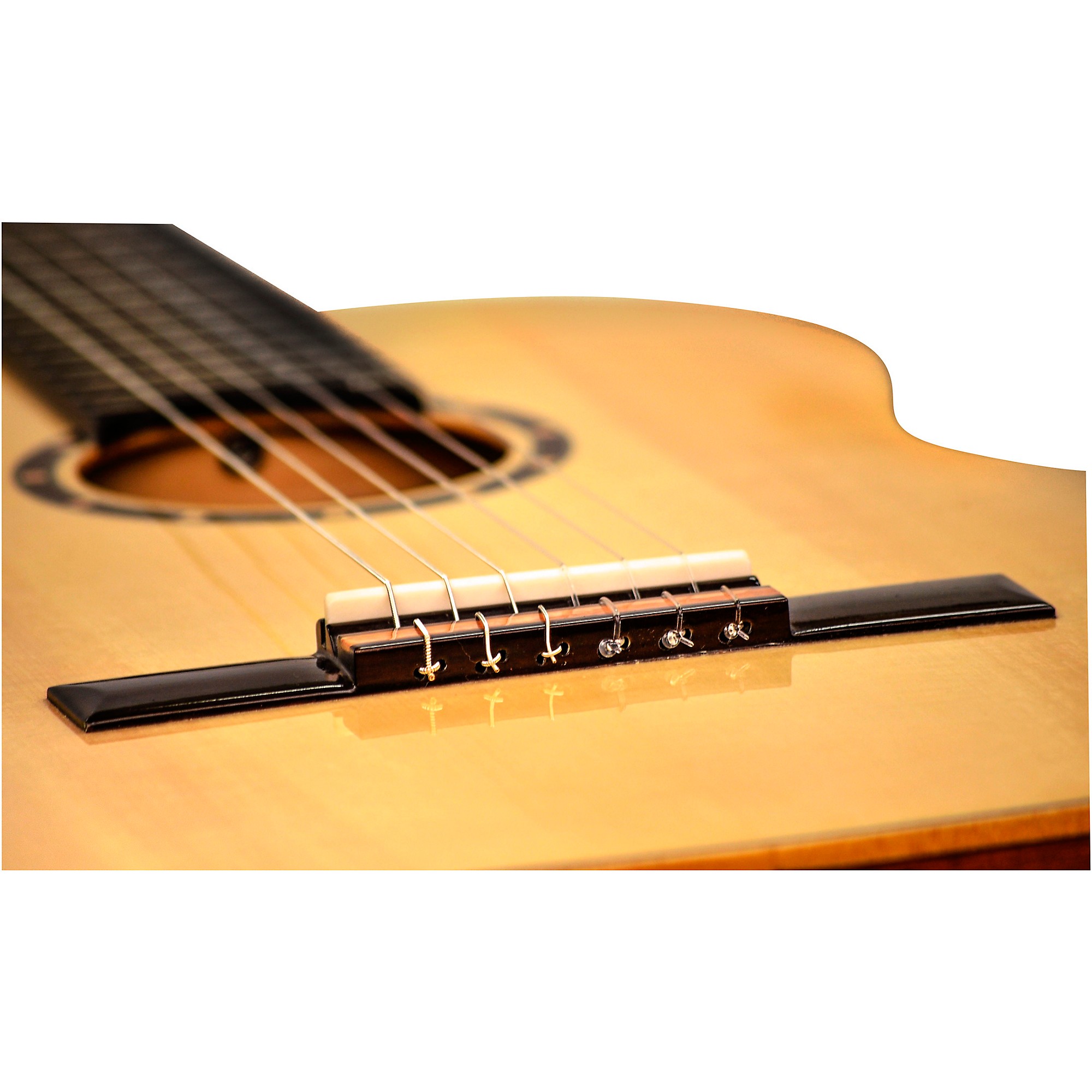 Amazon.com: Ortega Guitars 6 String Family Series 3/4 Size