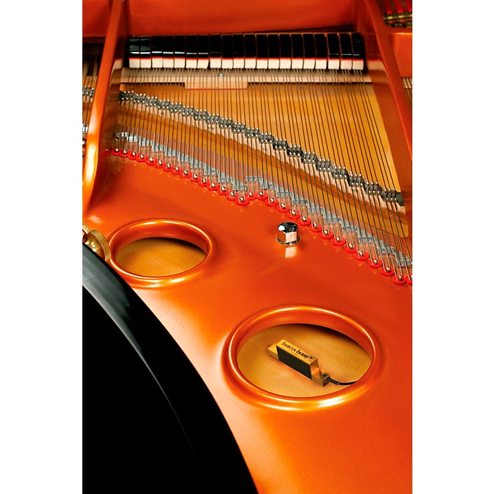 Barcus Berry 4000BRB Planar Wave System for Piano/Harp | Music & Arts