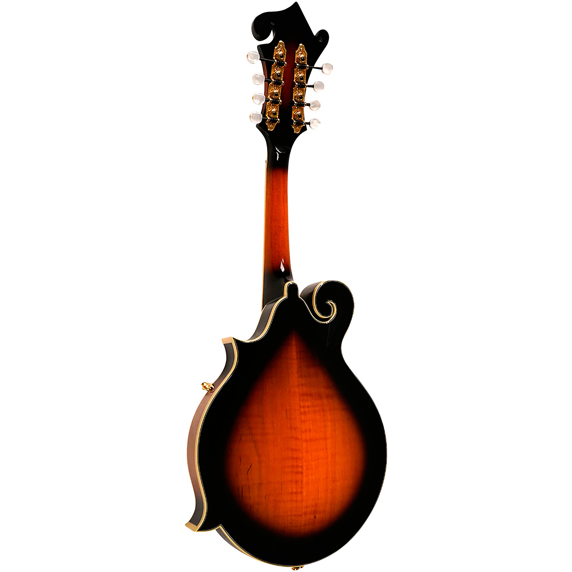 フラットマンドリン Gold Tone GM-70+ Gold Tone GM-70+ F-Style Mandolin | Music & Arts
