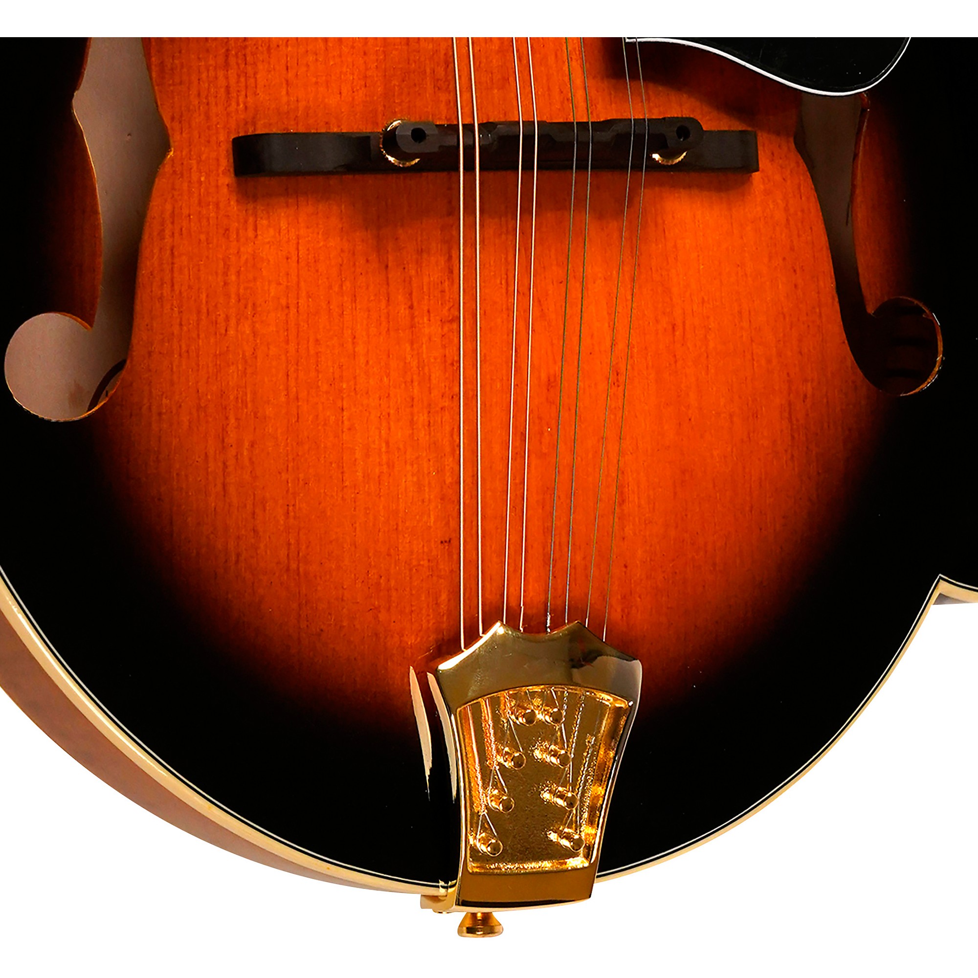 フラットマンドリン Gold Tone GM-70+ Amazon.com: Gold Tone GM-70 F-Style Mandolin (Two Tone Tobacco