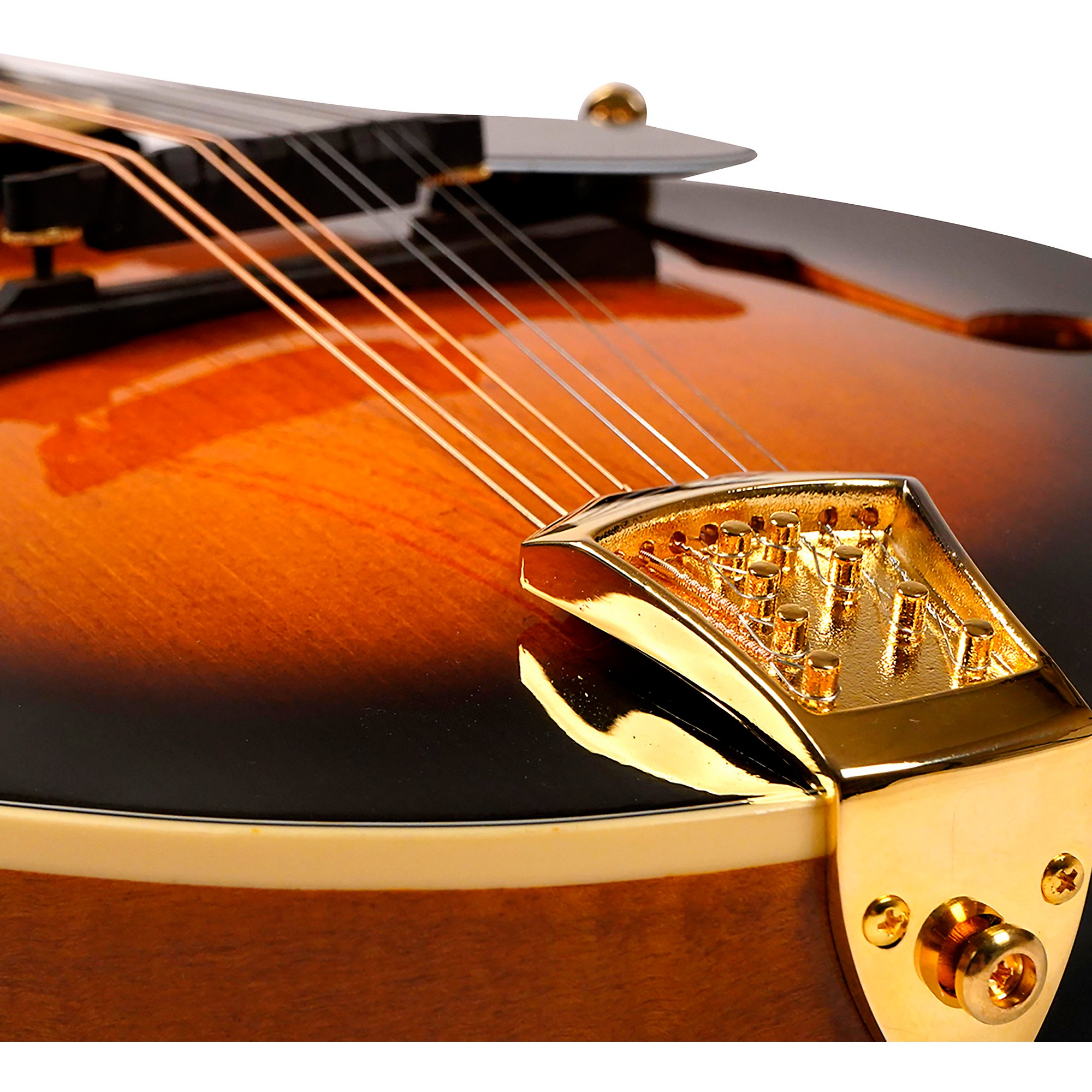 フラットマンドリン Gold Tone GM-70+ Gold Tone GM-70+ F-Style Mandolin | Music & Arts