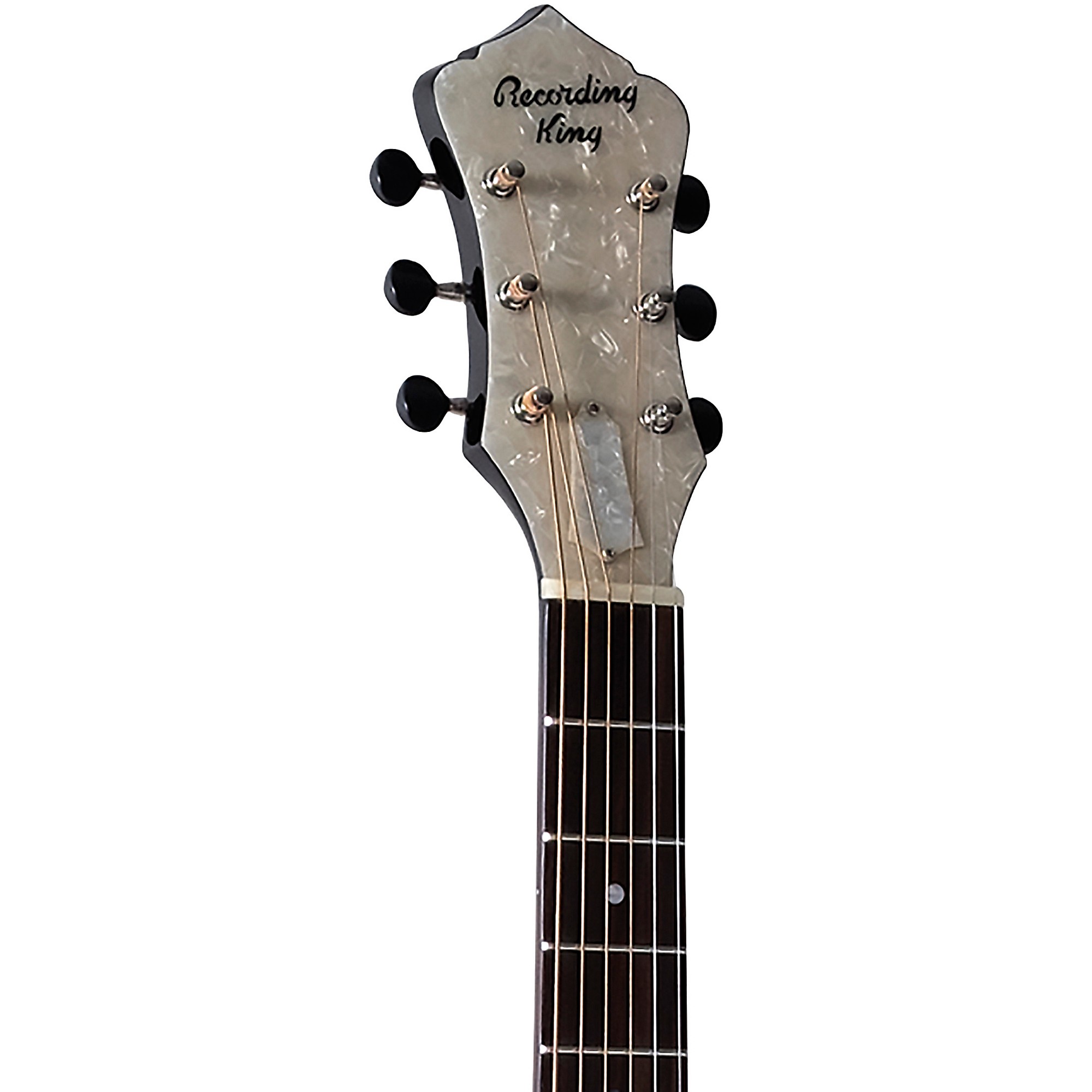 Recording King RR-41-VS Rattlesnake Wood Body Resonator