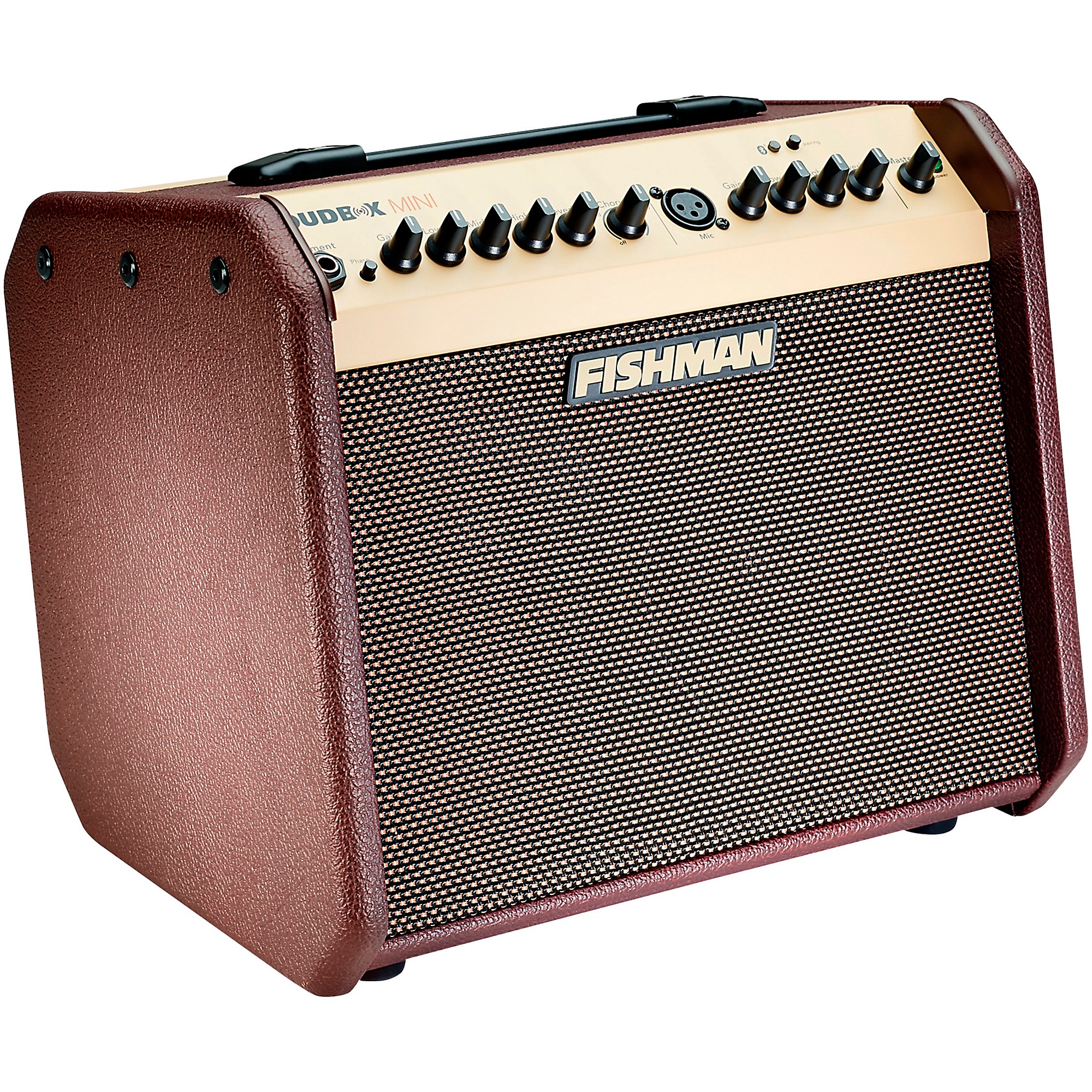 Fishman Loudbox Mini 60W 1x6.5 Acoustic Guitar Combo Amp With 