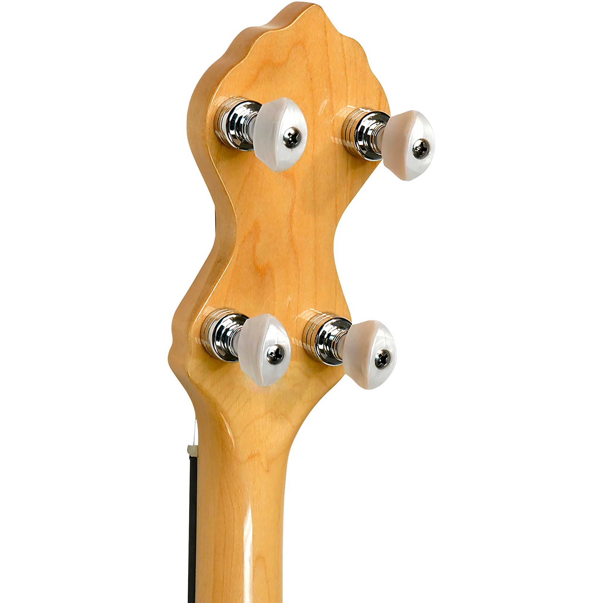 Gold Tone Maple Mountain Openback Banjo | Music & Arts