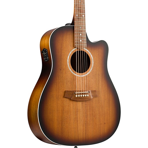 cole clark dreadnought