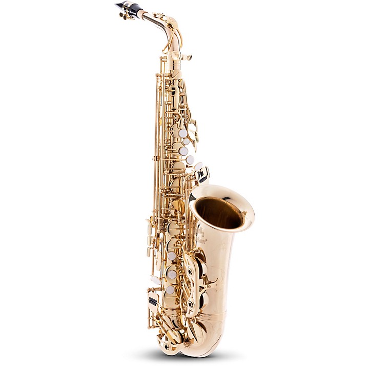 Alto Saxophone with Case World Class finish With mouthpiece reed and case