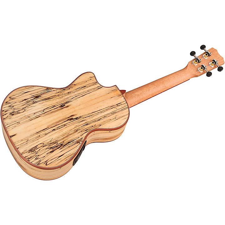 Cordoba 24T-CE Spruce Spalted Maple Cutaway Tenor Acoustic-Electric Ukulele  | Music & Arts