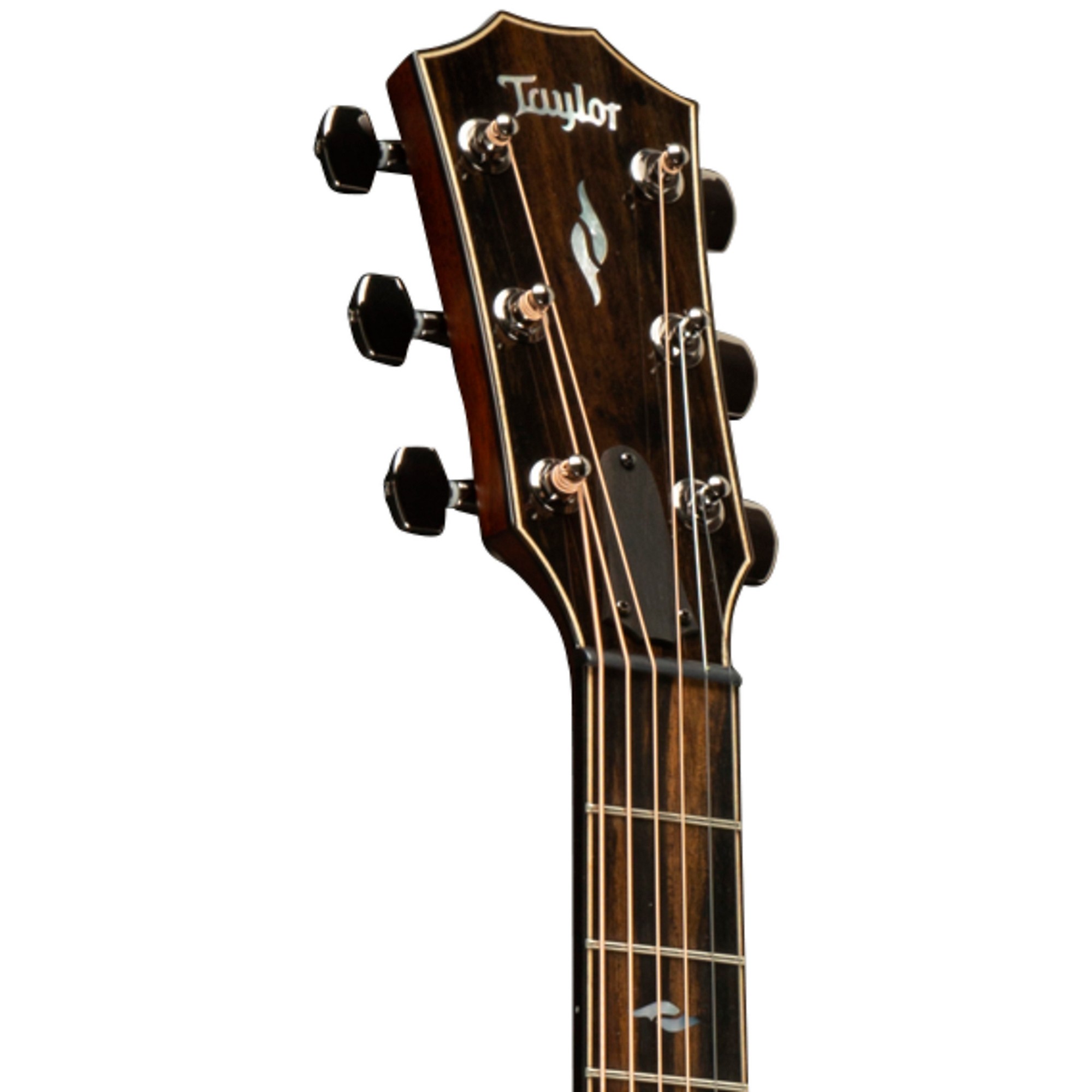 Lattelina さん　Taylor 812ce V-Class Platinum Taylor 812ce V-Class Grand Concert Acoustic