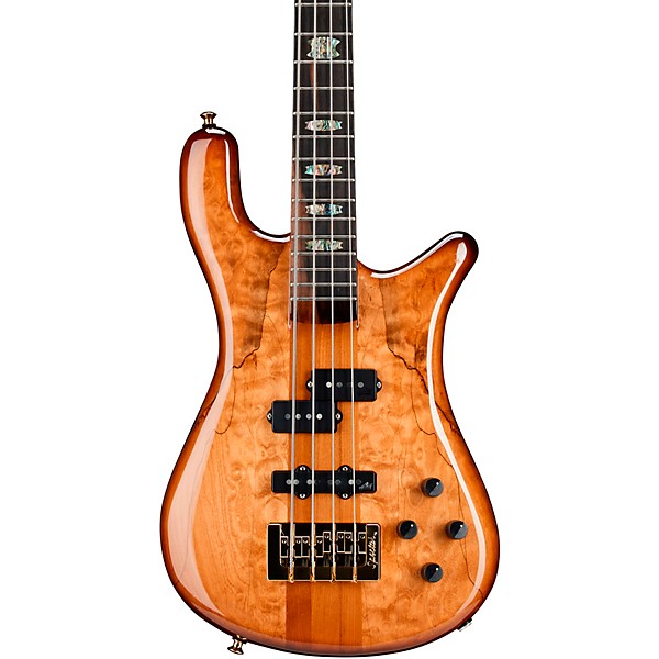 spector ns2 bass