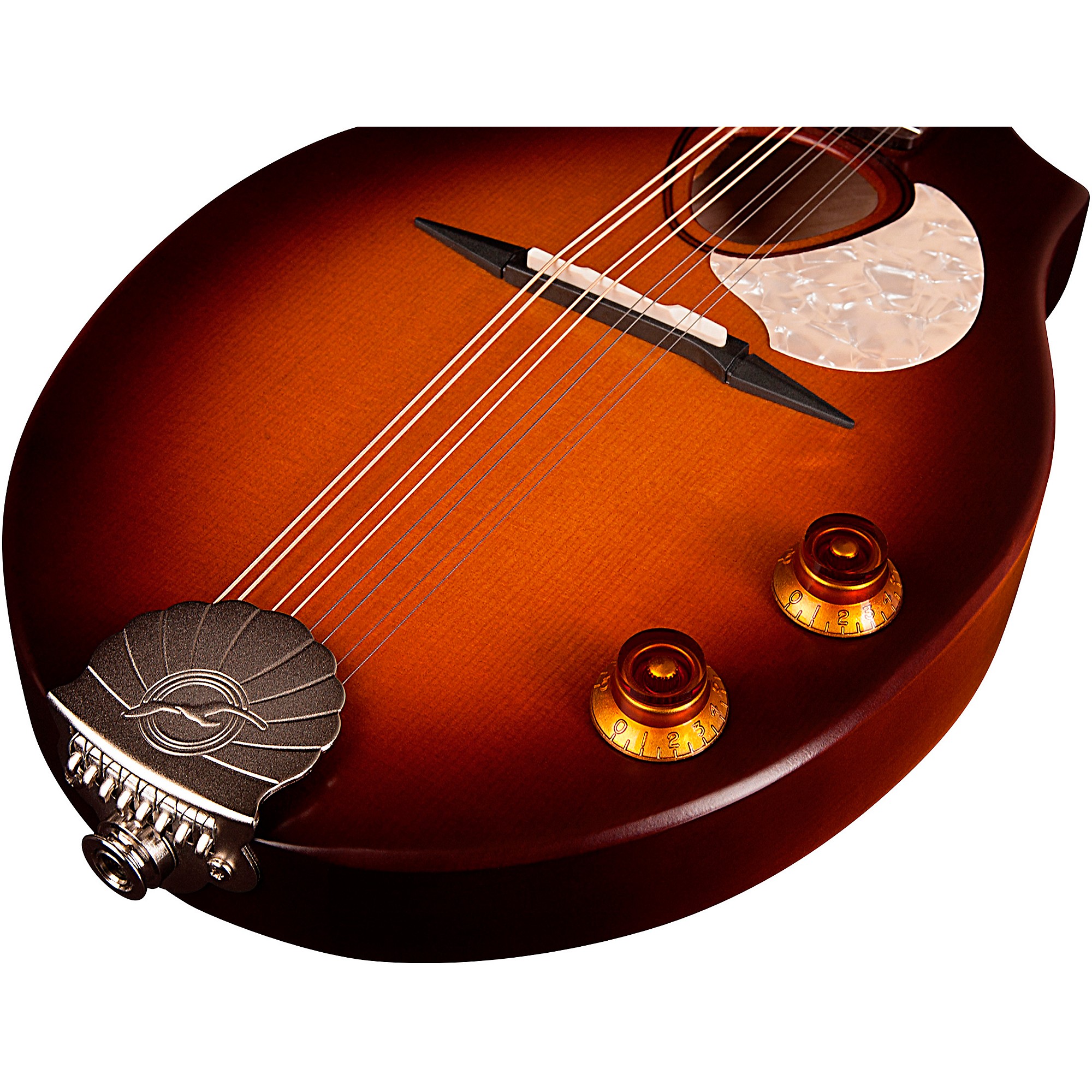 Seagull S8 Mandolin | Music & Arts