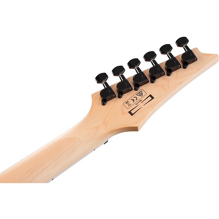 Ibanez GRGR221PA GRG Series 6-String Electric Guitar | Music & Arts
