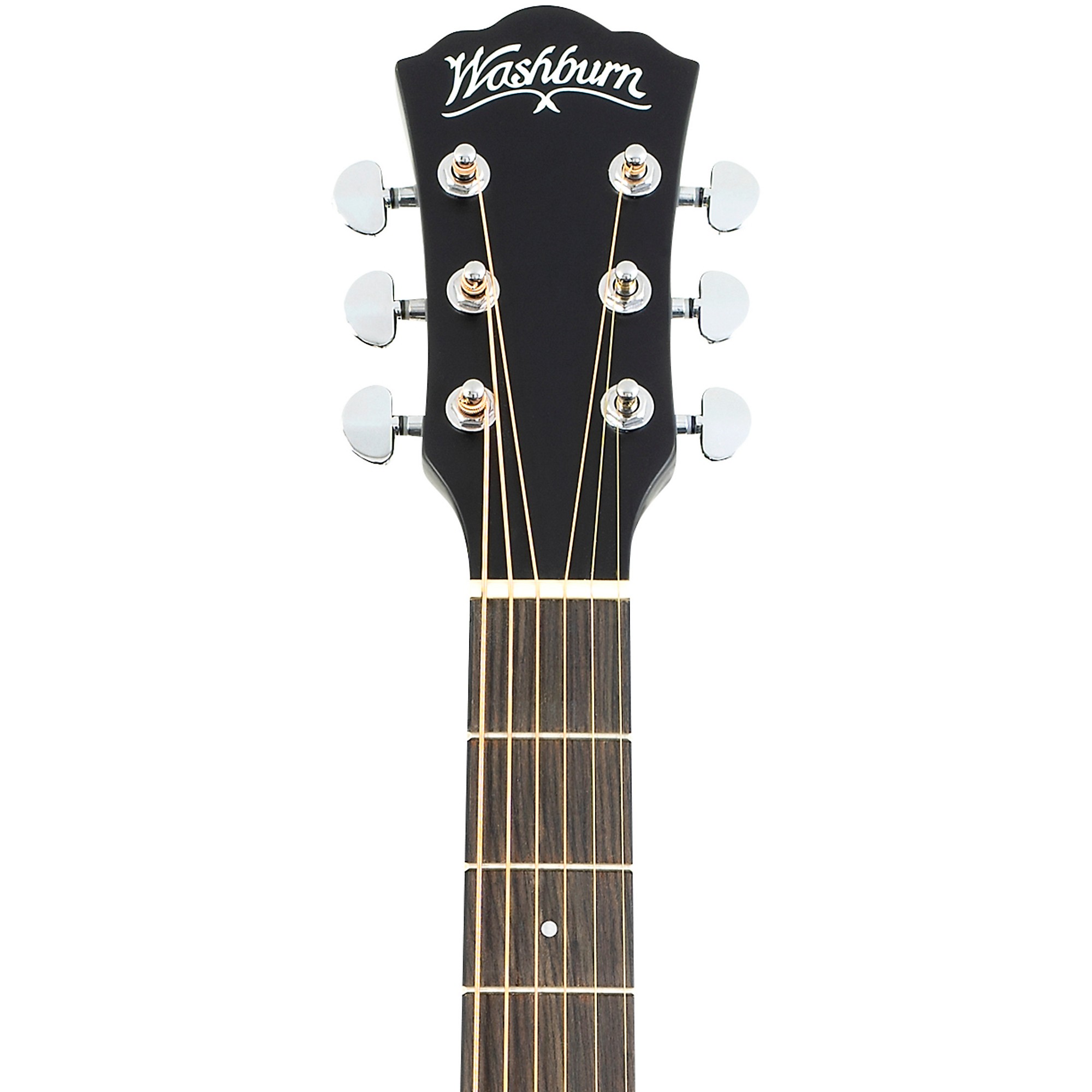 Washburn Deep Forest Ebony FE Acoustic-Electric Guitar