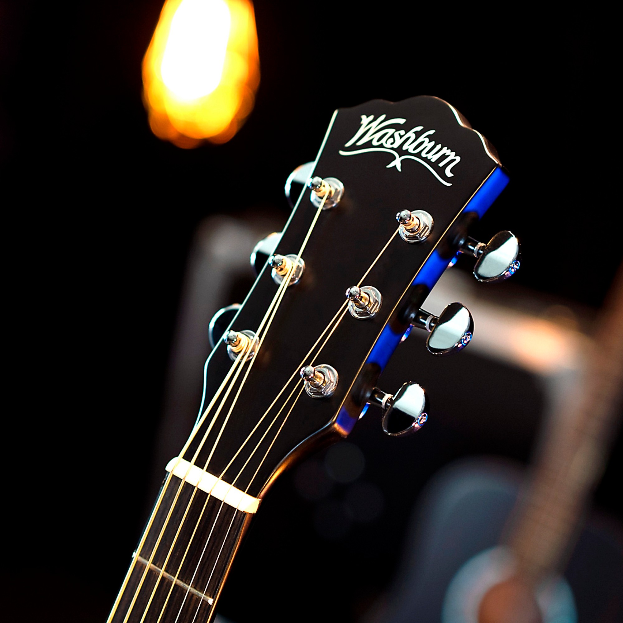 Washburn Deep Forest Ebony FE Acoustic-Electric Guitar