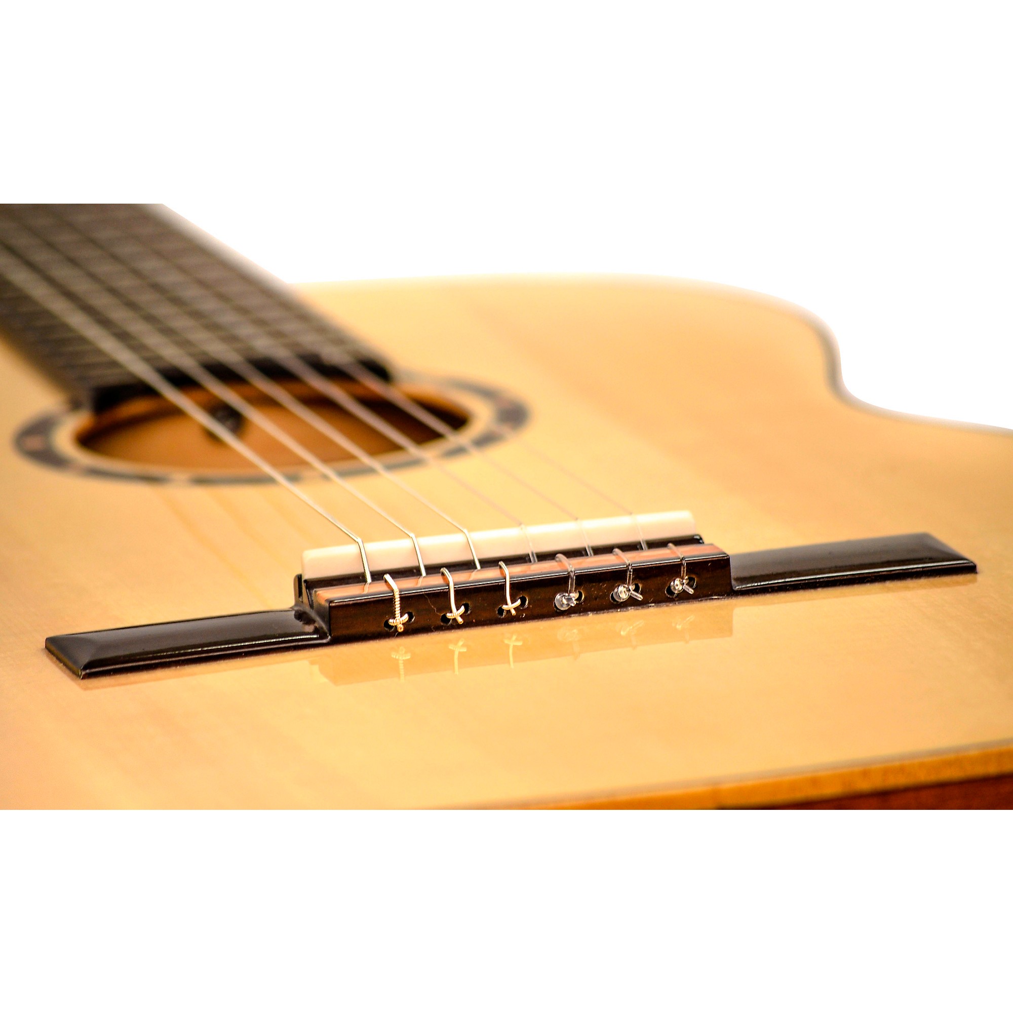 Ortega Family Series R122G Full-Size Classical Guitar | Music & Arts