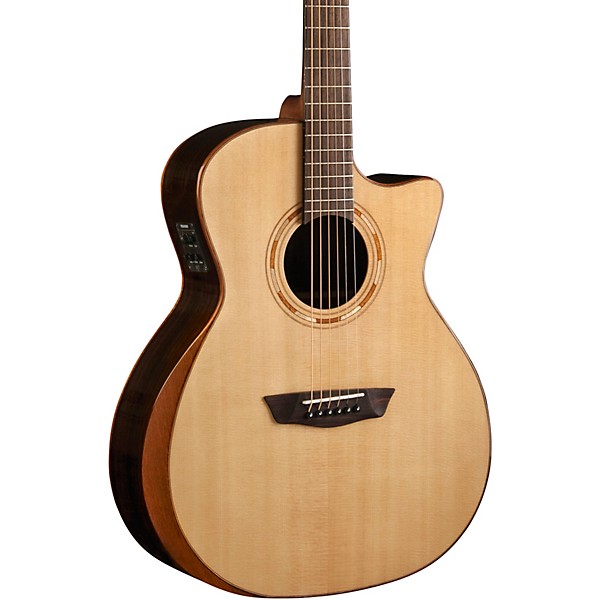 washburn wcg22sce