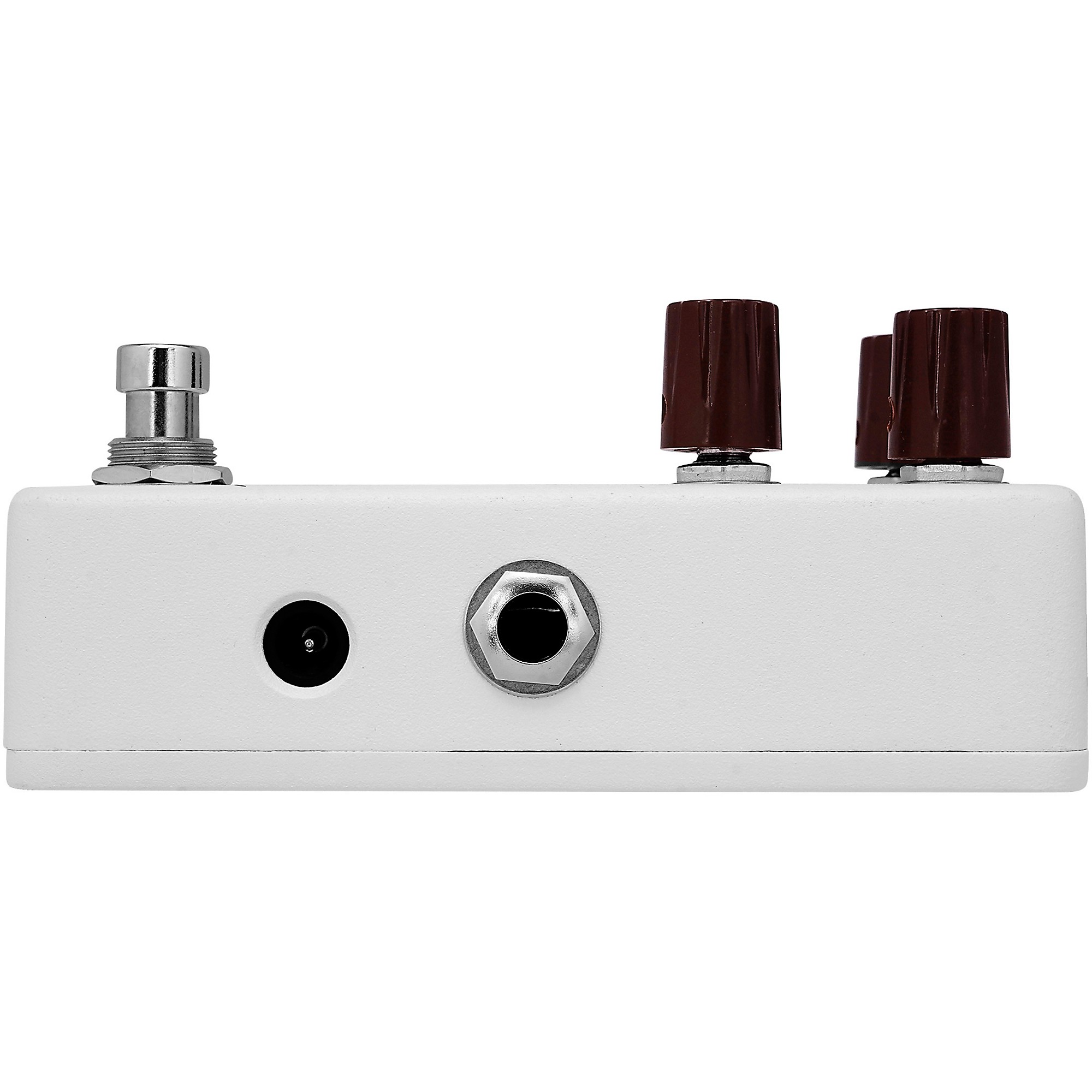 Animals Pedal Relaxing Walrus Delay V2 Effects Pedal | Music & Arts