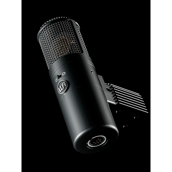 Warm Audio WA-8000 Large-Diaphragm Tube Condenser Microphone 