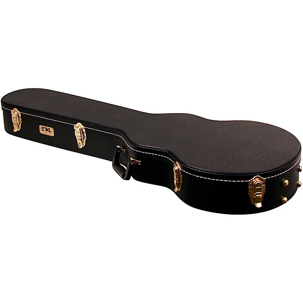 guitar case for les paul style guitar