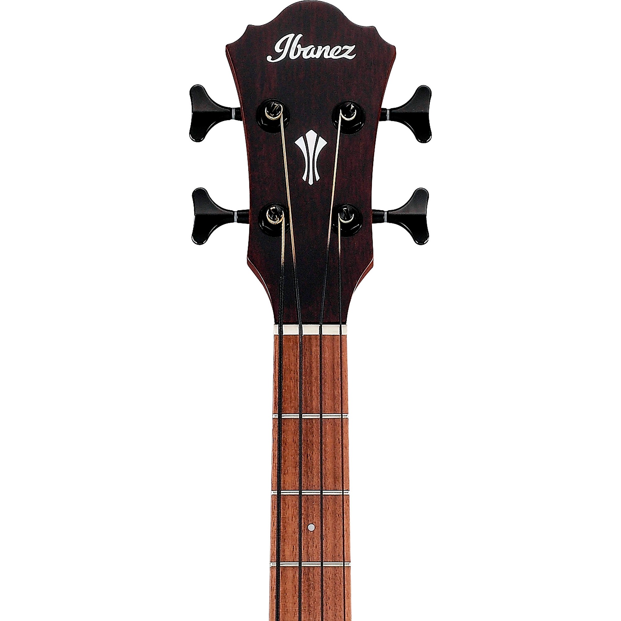 【ほぼ新品】Ibanez AEGB24E（アコースティックベース） Ibanez AEGB24E Acoustic-Electric Bass Guitar | Music & Arts