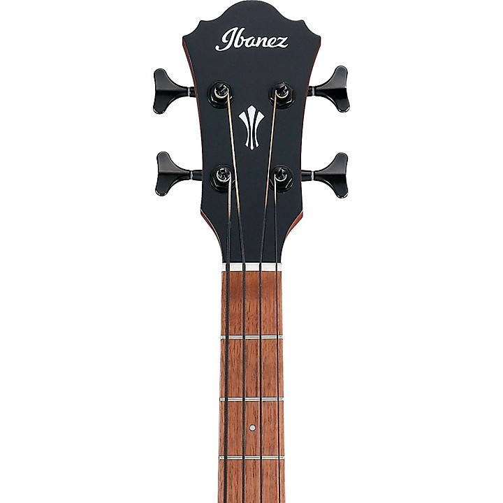 Ibanez AEGB24E Acoustic-Electric Bass Guitar | Music & Arts