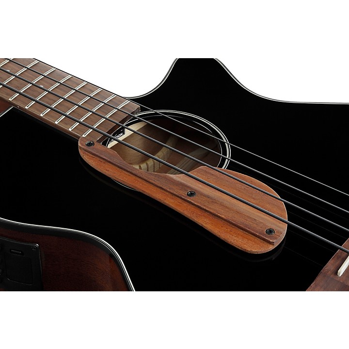 Ibanez AEGB24E Acoustic-Electric Bass Guitar | Music & Arts