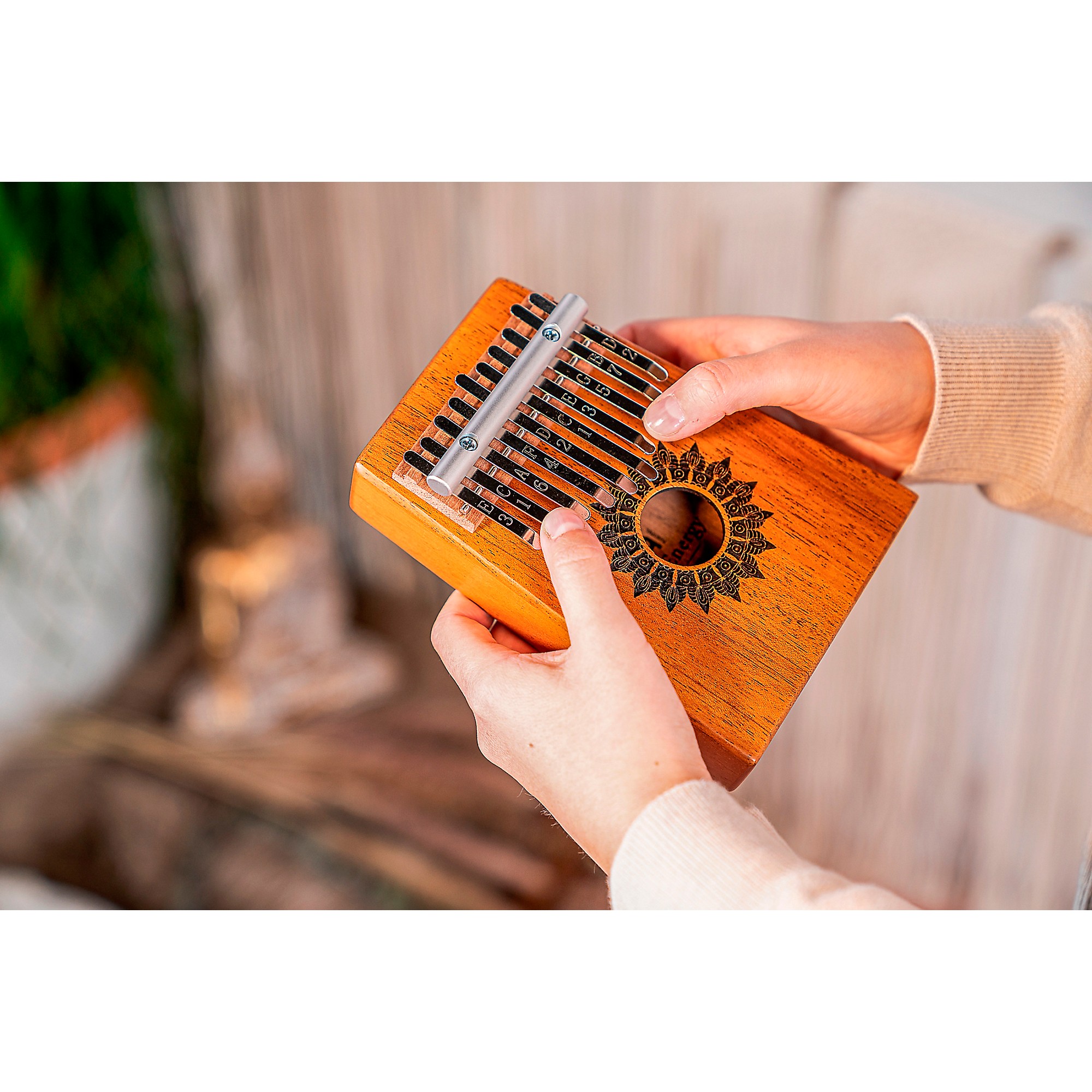 MEINL Sonic Energy 10 Note Sound Hole Kalimba | Music & Arts