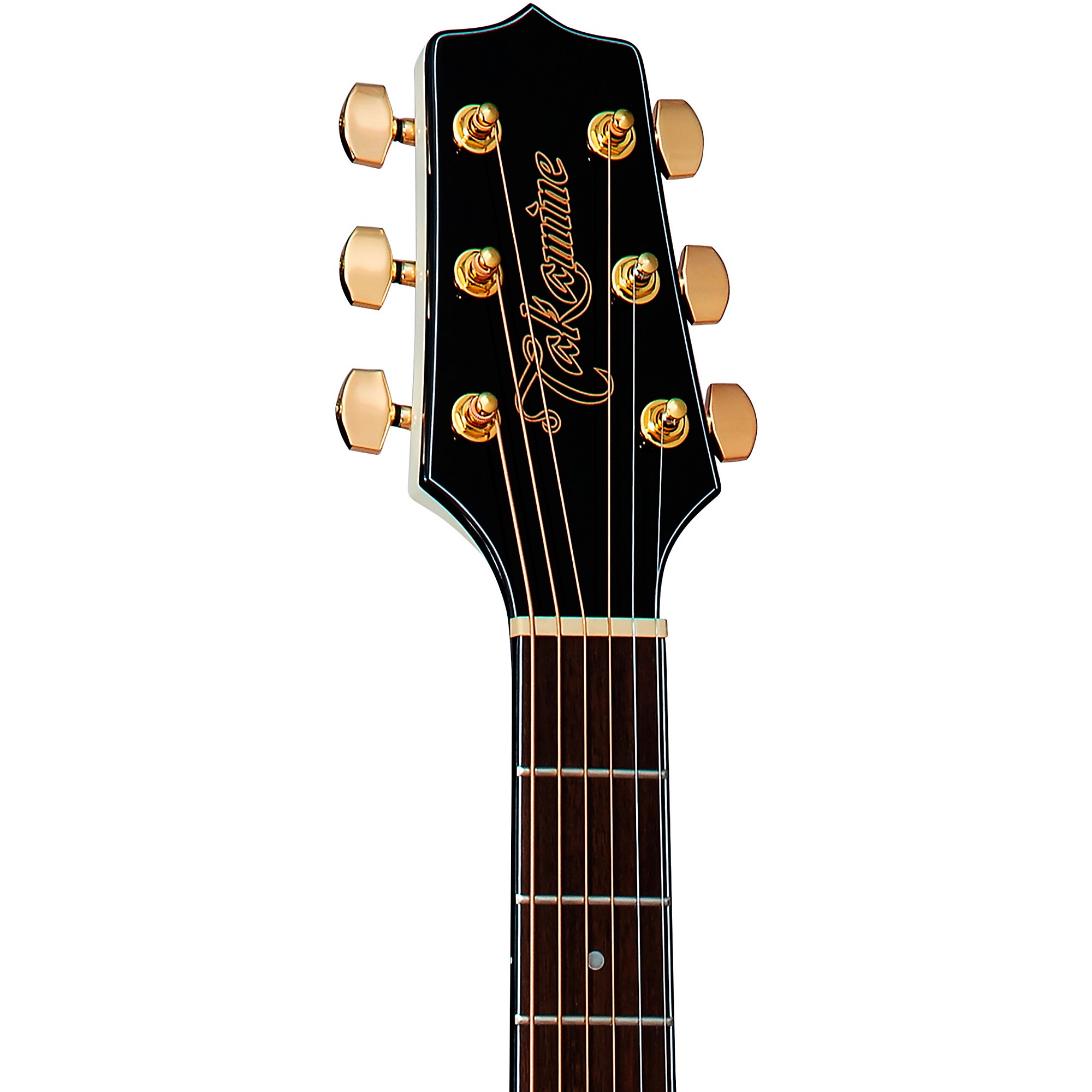 Takamine アコースティックギター　SAX06 Takamine GF49CE CB FX Cutaway Acoustic-Electric Guitar