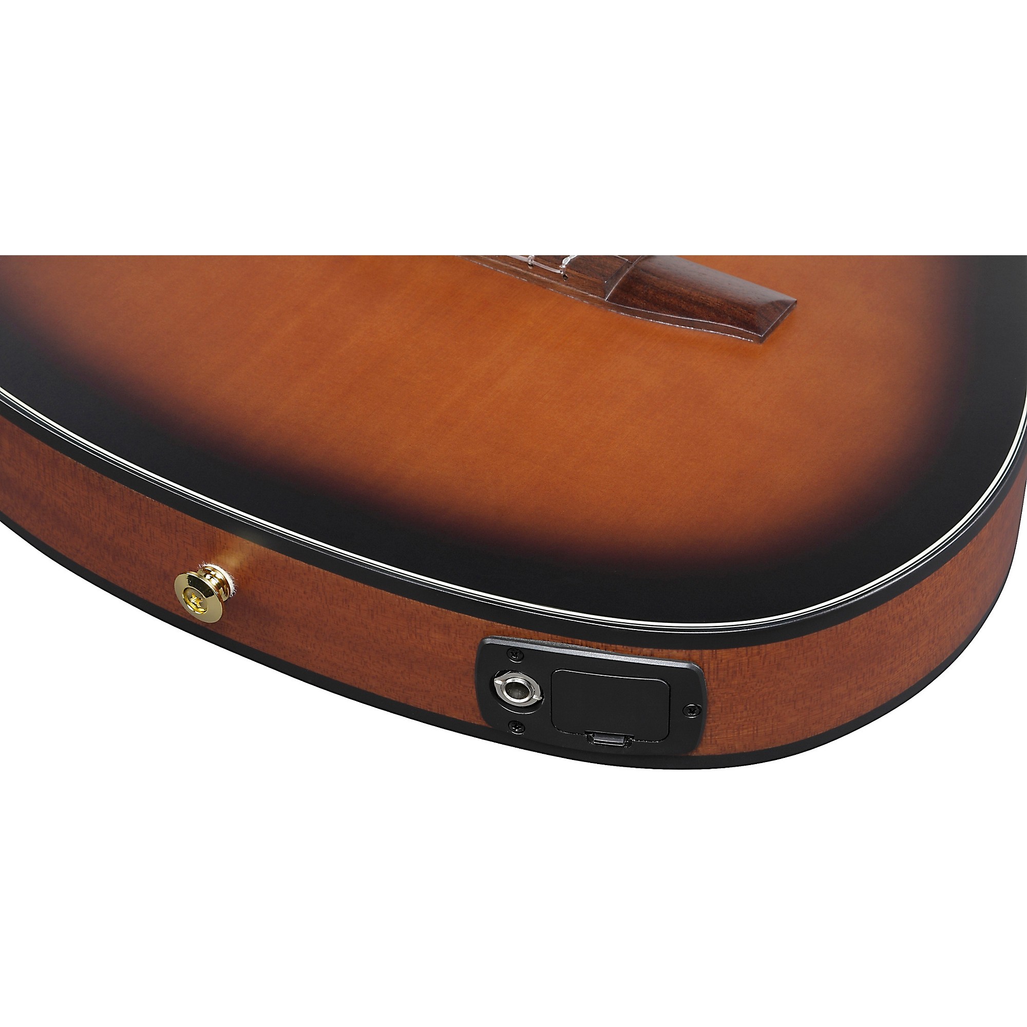 Ibanez FRH10N Nylon-String Acoustic-Electric Guitar | Music & Arts